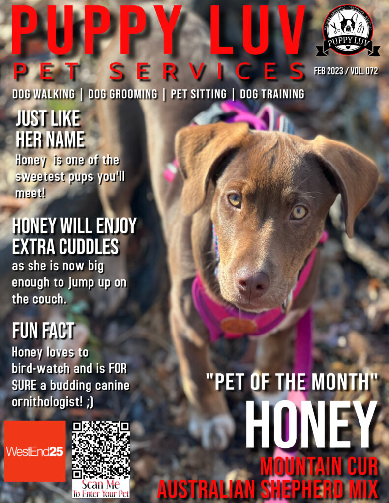 Honey - Pet of the Month February